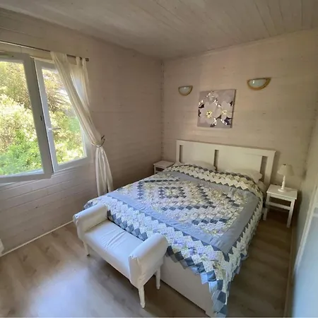 Quiet Palm House - Golfe De Saint Tropez * Gassin